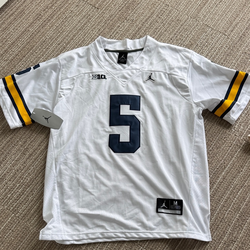 Jordan Michigan Jersey